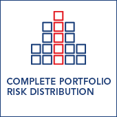 Complete Portfolio Risk Distribution